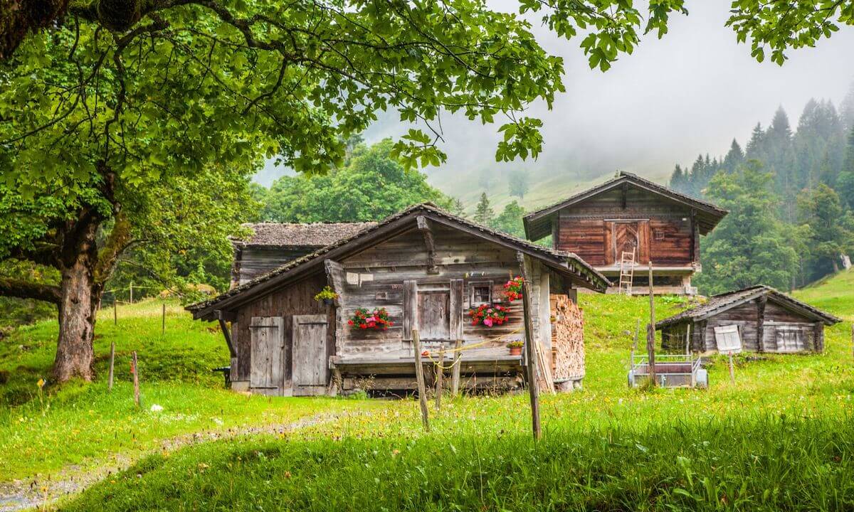 Entspannen auf der Alm Entspannen auf der Alm