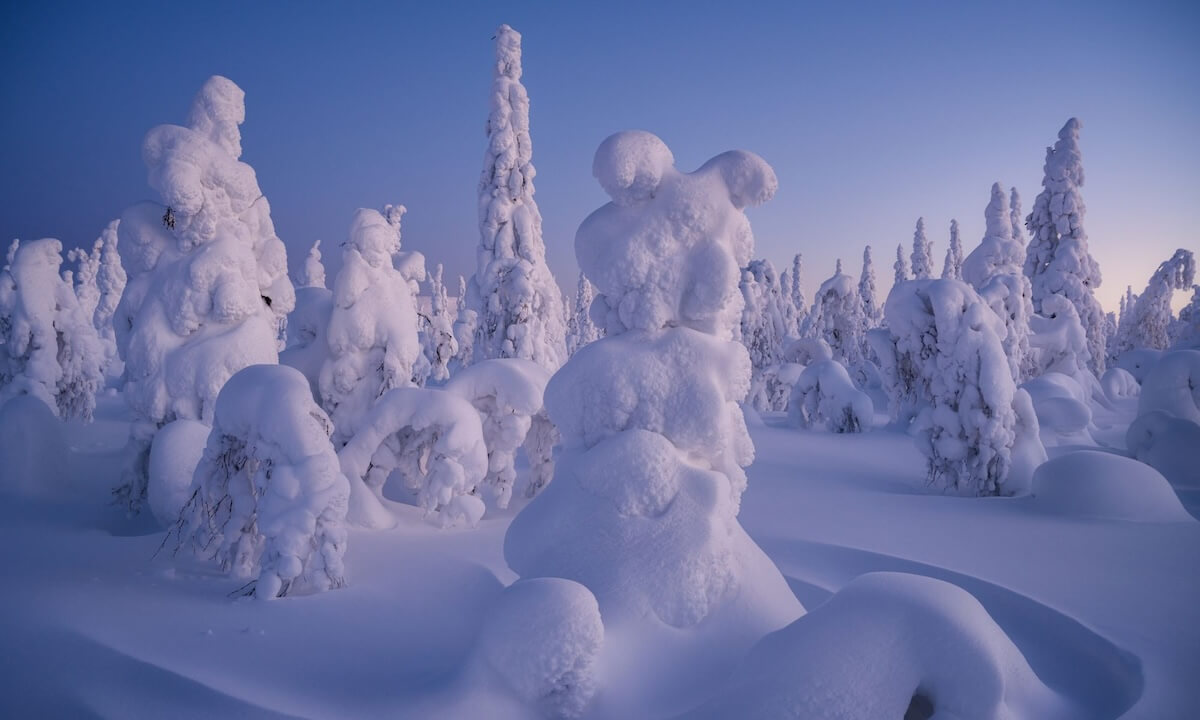Lappland im Winter Lappland im Winter