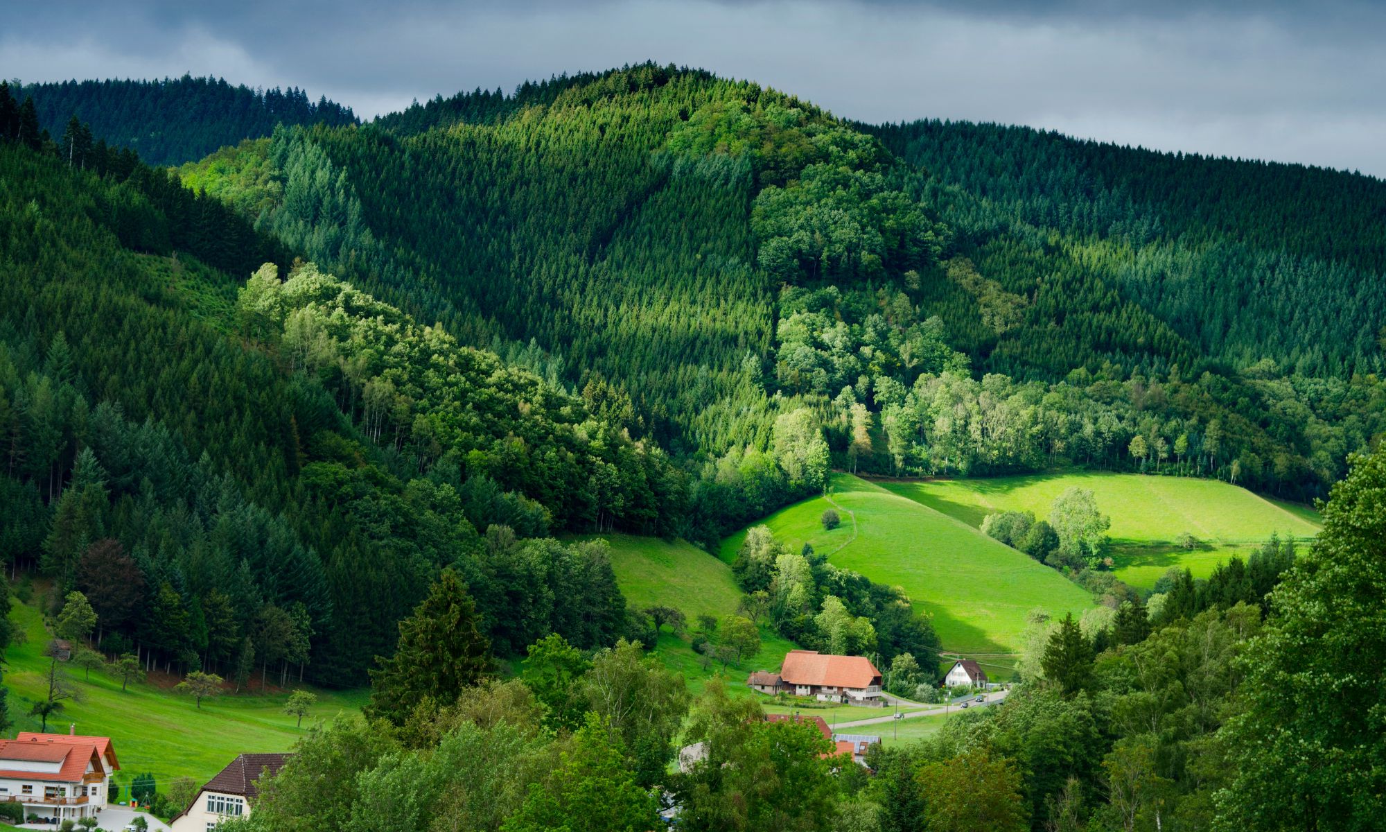 Natur in Deutschland Natur in Deutschland