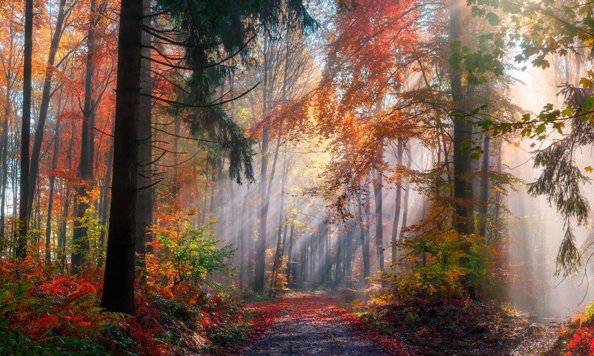 Sicherheitsüberlegungen im Herbst Sicherheitsüberlegungen im Herbst