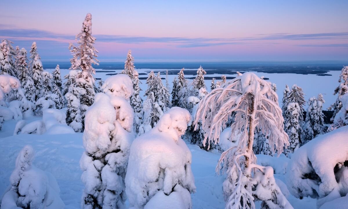 Winter im Koli Nationalpark Winter im Koli Nationalpark