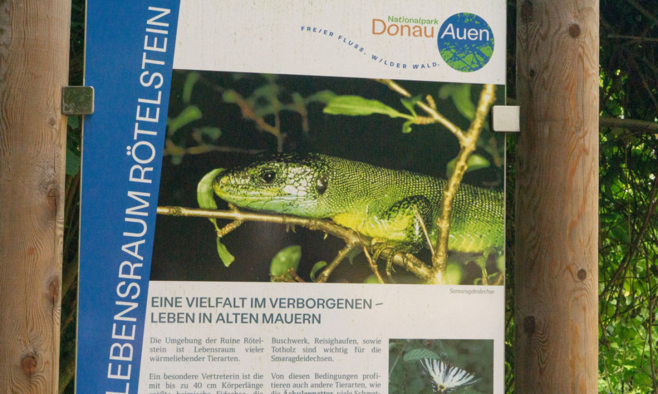 Nationalpark Donau Auen