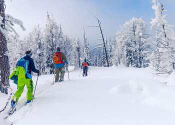 Skitouren in den Alpen Skitouren in den Alpen