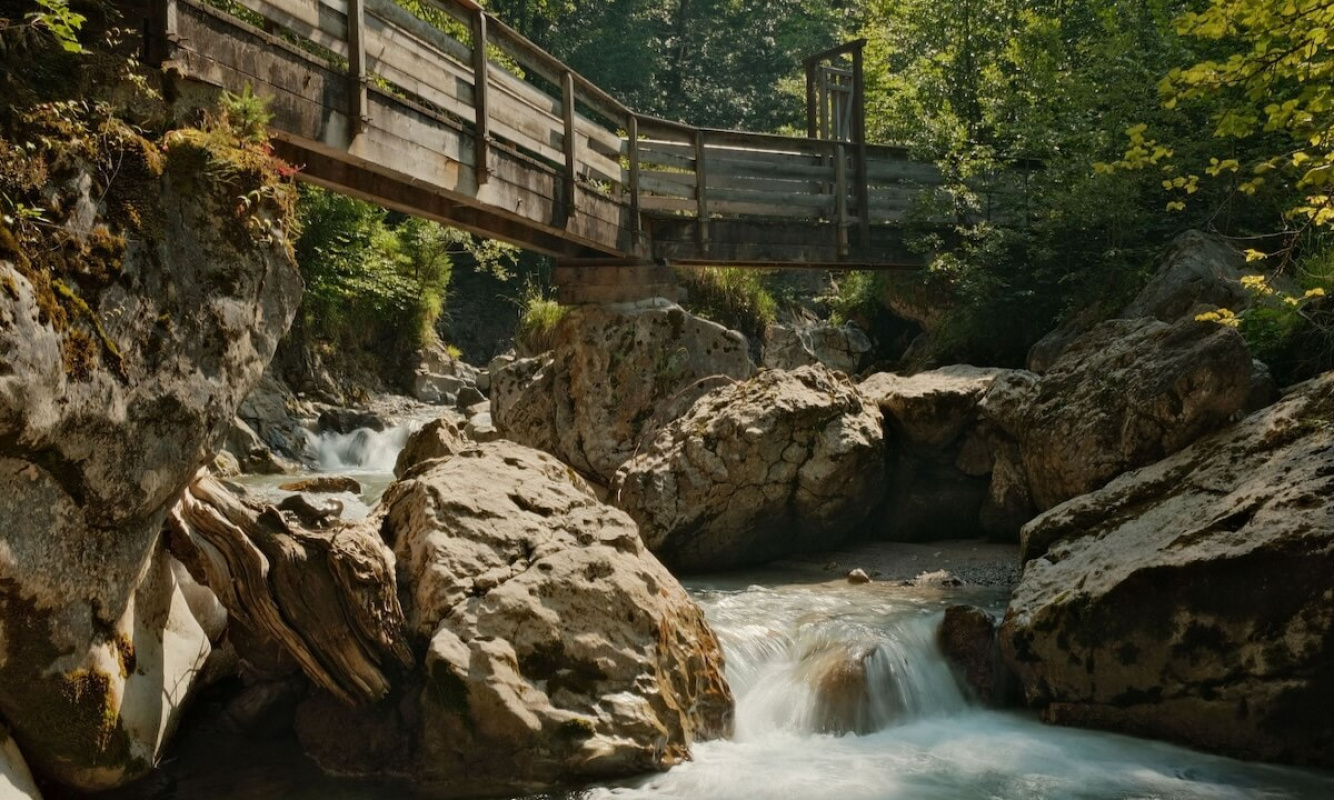 Wanderung durch die Seisenbergklamm Wanderung durch die Seisenbergklamm
