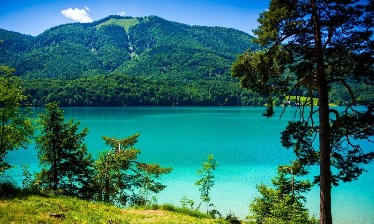 Wandern am Fuschlsee Wandern am Fuschlsee