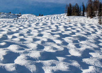 Tipps zum Befahren einer Buckelpiste Tipps zum Befahren einer Buckelpiste