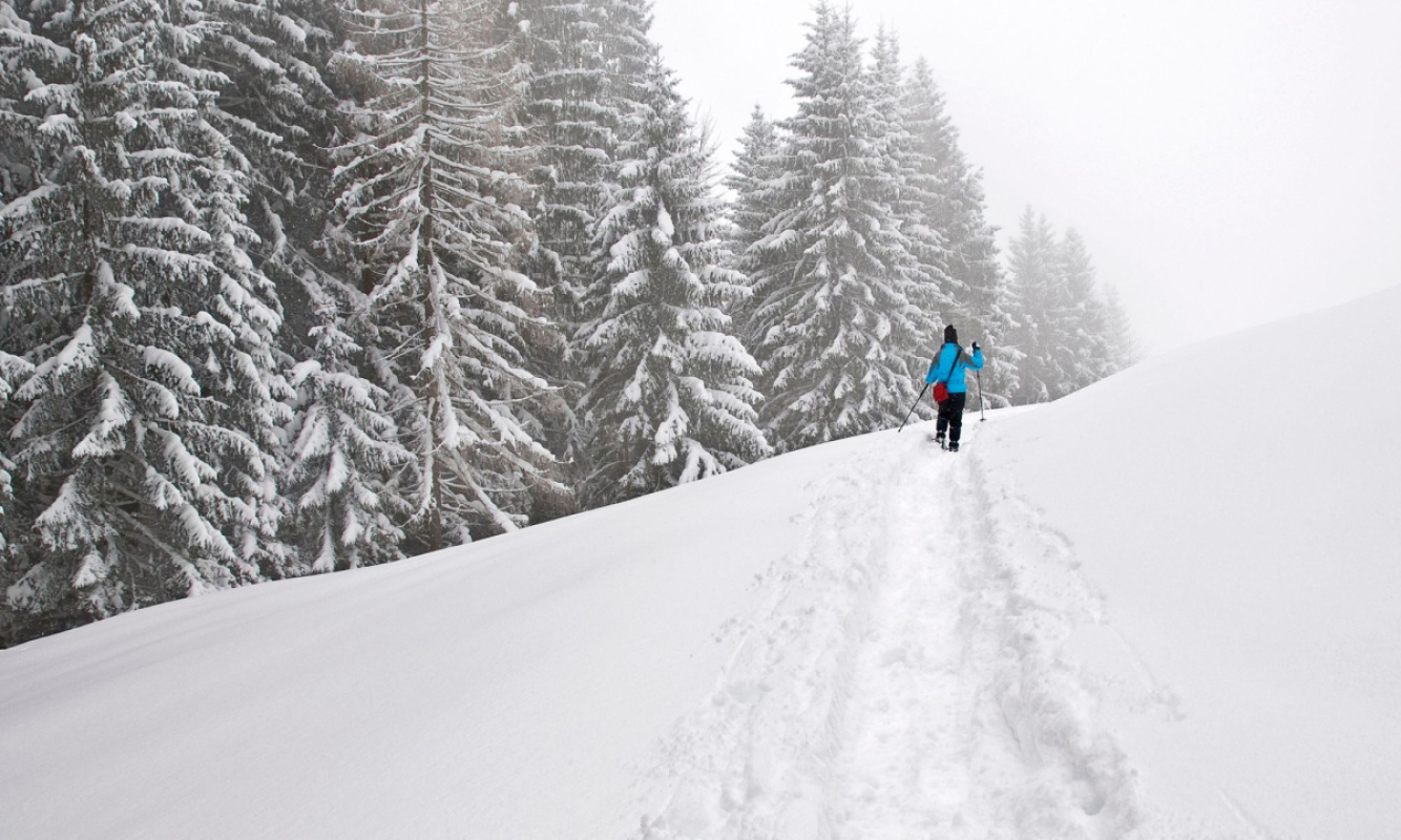 Tipps zum Schneeschuhwandern Tipps zum Schneeschuhwandern
