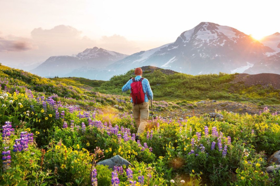 Bergonline Bergonline