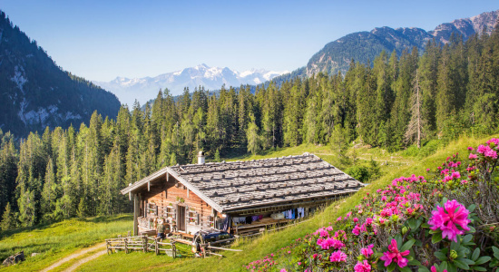 Hüttenvideo Hüttenvideo