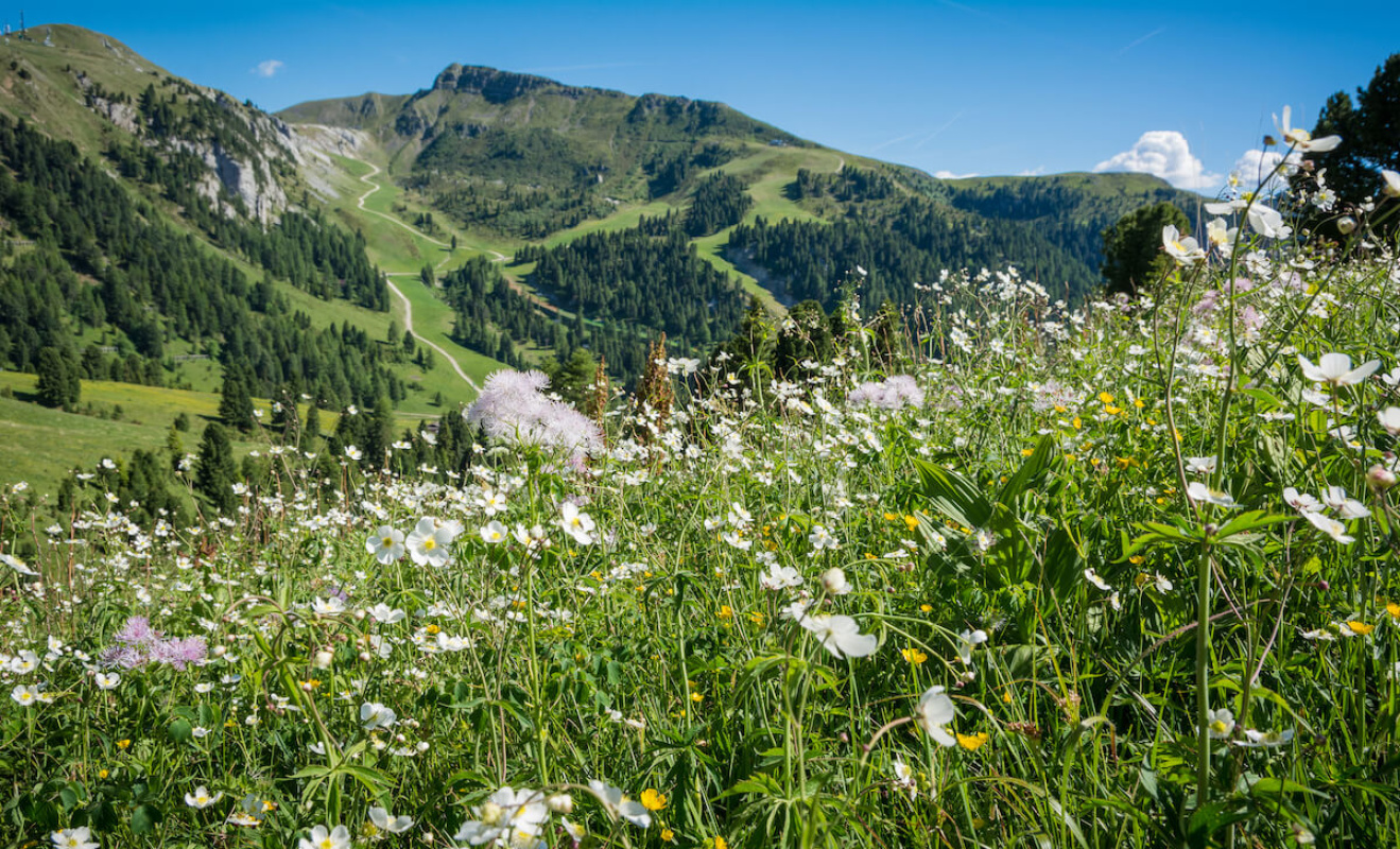 Anreise zur Berghütte Oberholz Anreise zur Berghütte Oberholz