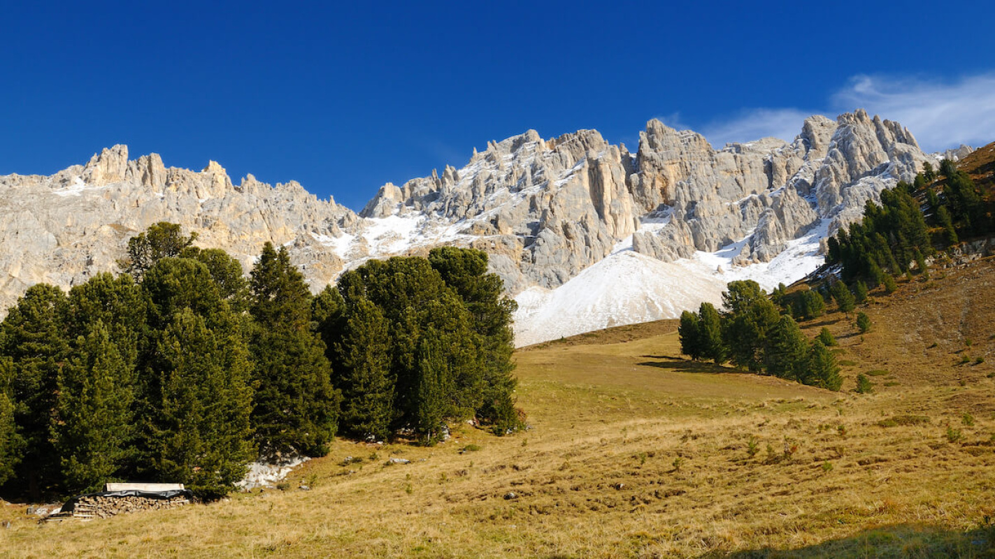 Wanderung von der Berghütte Oberholz Wanderung von der Berghütte Oberholz