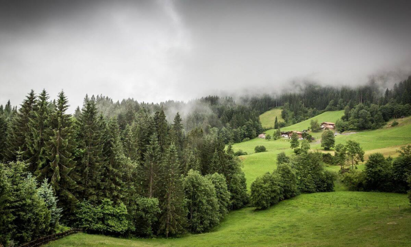 Wanderung von der Hochwildalm Wanderung von der Hochwildalm