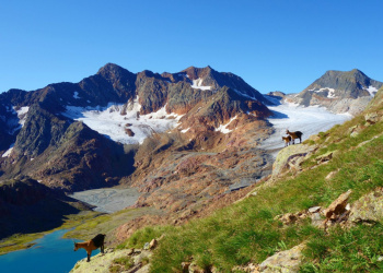 Webcam Becherhaus Webcam Becherhaus