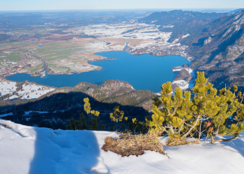 Webcam Herzogstand Nord